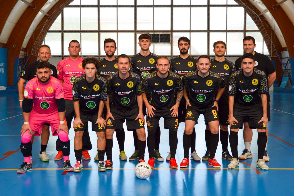 immagine BRP Legno pallet e pellets